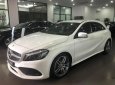 Mercedes-Benz A class 2018 - Bán Mercedes A250 cũ