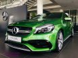 Mercedes-Benz A class A45 AMG 2018 - Bán Mercedes A45 AMG, màu xanh lục, nhập khẩu nguyên chiếc, giao xe ngay