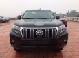 Toyota Prado VX  2018 - Cần bán xe Toyota Prado sản xuất 2018