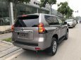 Toyota Prado VX 2018 - Cần bán xe Toyota Prado VX đời 2018, màu nâu, nhập khẩu nguyên chiếc