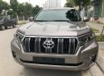 Toyota Prado VX 2018 - Cần bán xe Toyota Prado VX đời 2018, màu nâu, nhập khẩu nguyên chiếc