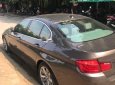 BMW 5 Series 523i 2010 - Cần bán BMW 5 Series 523i đời 2010, màu nâu 