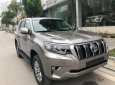 Toyota Prado VX 2018 - Cần bán xe Toyota Prado VX đời 2018, màu nâu, nhập khẩu nguyên chiếc