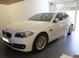 BMW 5 Series 520i 2014 - Bán BMW 520i 2014, trắng kem 30000km