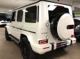 Mercedes-Benz G class G63 AMG Edition One 2018 - Bán xe Mercedes G63 AMG Edition One 2018, màu trắng, nhập khẩu nguyên chiếc mới 100%