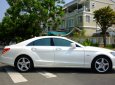 Mercedes-Benz CLS class CLS 350  2014 - Bán Mercedes CLS 350 đời 2014, màu trắng, cũ chính hãng siêu lướt