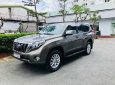 Toyota Prado   TXL 2016 - Cần bán Toyota Prado TXL sản xuất 2016, màu nâu