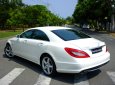 Mercedes-Benz CLS class CLS 350  2014 - Bán Mercedes CLS 350 đời 2014, màu trắng, cũ chính hãng siêu lướt