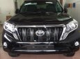 Toyota Prado TXL 2016 - Bán ô tô Toyota Prado TXL đời 2016, màu đen, nhập khẩu chính chủ