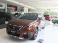 Peugeot 3008 2018 - Bán Peugeot 3008 năm sản xuất 2018, màu nâu