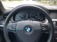 BMW 5 Series 520i 2013 - Bán lại xe BMW 520i sản xuất 2013, màu trắng, nhập khẩu