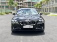 BMW 5 Series 520i 2015 - Cần bán xe BMW 5 Series 520 năm 2015, màu đen, nhập khẩu