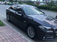 BMW 5 Series 520i  2015 - Bán BMW 5 Series 520i 2015, màu nâu, nhập khẩu nguyên chiếc xe gia đình