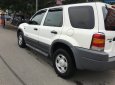 Ford Escape XLT 2002 - Bán Ford Escape XLT 2002, màu trắng, giá 155tr