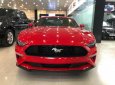 Ford Mustang Ecoboost 2018 - Cần bán Ford Mustang Ecoboost sản xuất năm 2018, màu đỏ, nhập khẩu