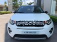 LandRover Discovery 2016 - Cần bán xe LandRover Discovery sản xuất 2016, màu trắng, nhập khẩu nguyên chiếc