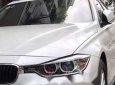 BMW 3 Series  320i 2013 - Bán xe BMW 320i đời 2013, ốc tán còn 7 màu