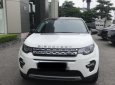 LandRover Discovery   2.0 AT  2016 - Bán LandRover Discovery 2.0 AT sản xuất 2016, màu trắng