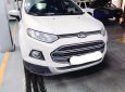 Ford EcoSport 2014 - Bán xe Ecosport 2014, đã đi 31.000km