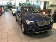 BMW X4 Xdrive20i 2017 - BMW Phú Mỹ Hưng bán BMW X4 Xdrive20i - Mới 100% nhập khẩu nguyên chiếc