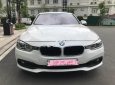 BMW 3 Series 320i 2016 - Cần bán gấp BMW 3 Series 320i đời 2016, màu trắng, xe nhập