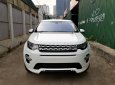 LandRover Discovery Sport 2017 - Bán LandRover Discovery Sport đời 2017 nhập Mỹ