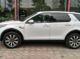 LandRover Discovery Sport 2017 - Bán LandRover Discovery Sport đời 2017 nhập Mỹ