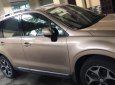 Subaru Forester 2013 - Bán Subaru Forester 2013, màu vàng, xe nhập