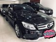 Mercedes-Benz C class C250 AMG 2015 - Bán ô tô Mercedes Bán C250 AMG năm sản xuất 2015