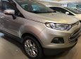 Ford EcoSport 2015 - Bán Ford EcoSport năm sản xuất 2015, màu bạc số sàn, 420tr