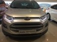 Ford EcoSport 2015 - Bán Ford EcoSport năm sản xuất 2015, màu bạc số sàn, 420tr