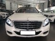 Mercedes-Benz S class Maybach S500 2017 - Cần bán xe Mercedes Maybach S500 đời 2017, màu trắng, nhập khẩu như mới