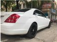 Mercedes-Benz S class 2007 - Bán ô tô Mercedes năm sản xuất 2007, màu trắng 