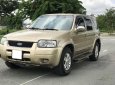 Ford Escape 2002 - Bán Ford Escape 2002, màu vàng, nhà ít sử dụng nên mọi thứ đều rất tốt