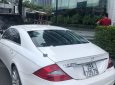 Mercedes-Benz CLS class CLS 350 2008 - Bán lại xe Mercedes-Benz CLS 350, mới 7 vạn km