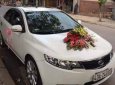 Kia Forte 2013 - Bán Kia Forte đời 2013, màu trắng