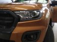 Ford Ranger WT 2.0 (hộp số 10 cấp) Bi-Turbo 4x4 2018 - Bán xe Ford Ranger 2.0 Bi-Turbo 4x4 2018, màu cam, xe nhập, giá chỉ 918 triệu