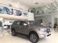 Ford Everest Titanium 4x2 2018 - An Đô Ford xe giao ngay - Ford Everest Titanium 4x2 2018, xe nhập. LH 0978212288