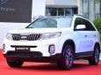 Kia Sorento  GAT 2018 - Bán ô tô Kia Sorento sản xuất năm 2018, màu trắng