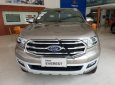 Ford Everest Titanium 2.0L 4x2 AT 2018 - Bán xe Ford Everest Titanium 2.0L 4x2 AT sản xuất 2018, màu vàng, xe nhập