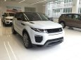 LandRover Evoque HSE Dynamic   2018 - Cần bán xe LandRover Range Rover Evoque năm sản xuất 2018. Hotline Landrover 093 22222 53