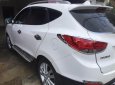 Hyundai Tucson 2010 - Cần bán xe Hyundai Tucson đời 2010, màu trắng, nhập khẩu  