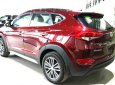 Hyundai Tucson 2.0 AT   2018 - Chỉ cần 270tr có thể nhận ngay Tucson 2.0 AT đặc biệt 2018. LH: 0905 444 641 Mr- Nhật để nhận được ưu đãi giá tốt