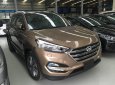 Hyundai Tucson   2018 - Bán ô tô Hyundai Tucson sản xuất 2018, màu nâu