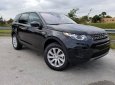 LandRover Discovery Sport  2018 - Bán LandRover Discovery Sport đời 2018, màu xám (ghi), ưu đãi lớn trong năm gọi 0932222253