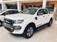 Ford Ranger  3.2 Wildtrak 4x4 2018 - Cần bán Ford Ranger 2.0 biturbo Wildtrak sản xuất 2018, nhập khẩu nguyên chiếc, giá 900tr, LH 0974286009