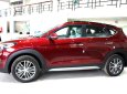 Hyundai Tucson 2.0 AT   2018 - Chỉ cần 270tr có thể nhận ngay Tucson 2.0 AT đặc biệt 2018. LH: 0905 444 641 Mr- Nhật để nhận được ưu đãi giá tốt