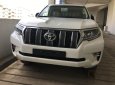 Toyota Land Cruiser Prado VX  2018 - Bán Toyota Prado Prado VX 2018, màu trắng, nhập khẩu