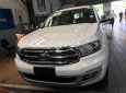 Ford Everest Titanium 2.0L 4x2 AT 2018 - Bán ô tô Ford Everest Titanium 2.0L 4x2 AT sản xuất năm 2018 