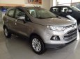 Ford EcoSport 2016 - Cần bán gấp Ford EcoSport đời 2016, màu xám giá cạnh tranh